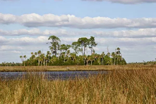 Chassahowitzka River Campground 5