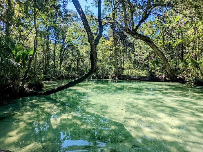 Chassahowitzka River Campground 9