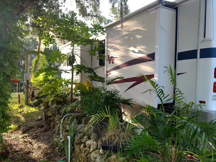 Ozello Keys Fish Camp 1