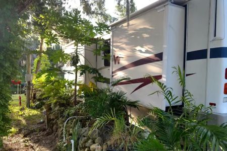 Ozello Keys Fish Camp