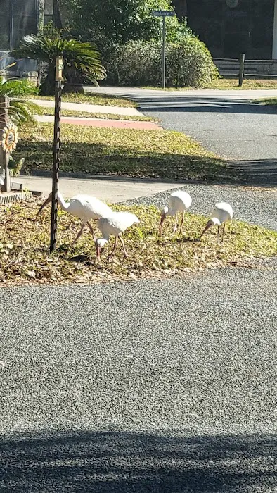 Sunshine Mobile Home Park 4
