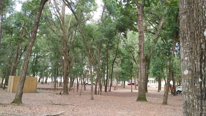 CAMP GAN ISRAEL FLORIDA 9