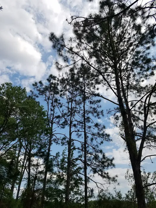 CAMP GAN ISRAEL FLORIDA 8