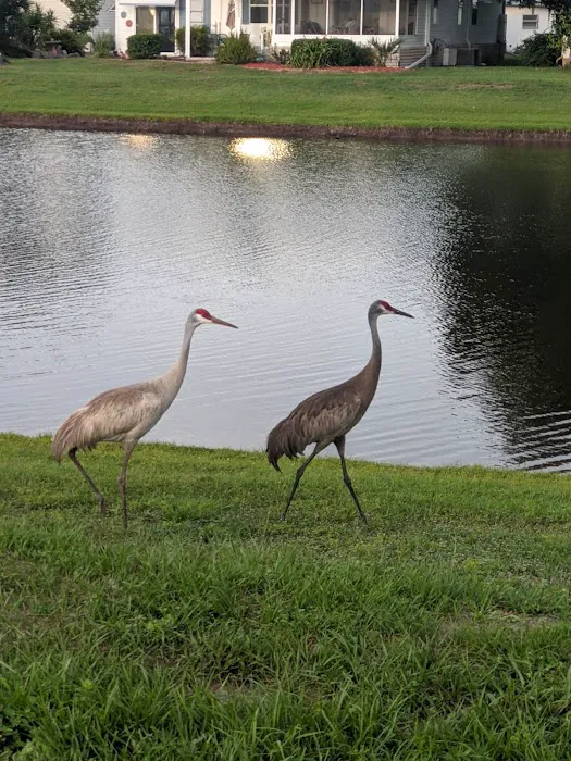Mid Florida Lakes 3
