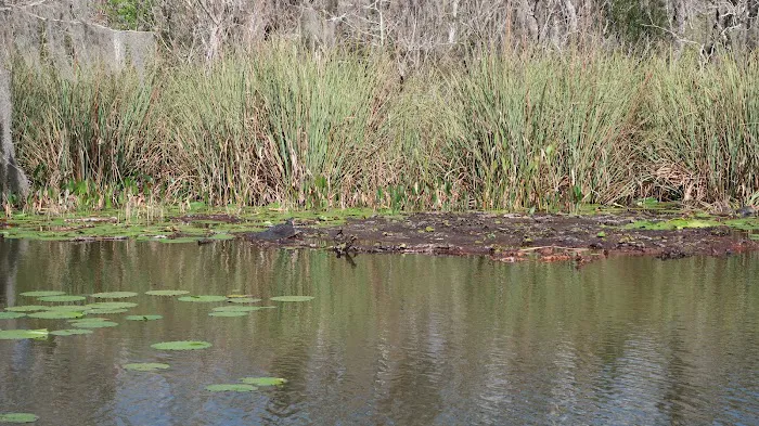 Mid Florida Lakes 4