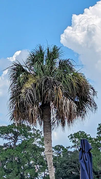 Mid Florida Lakes 8