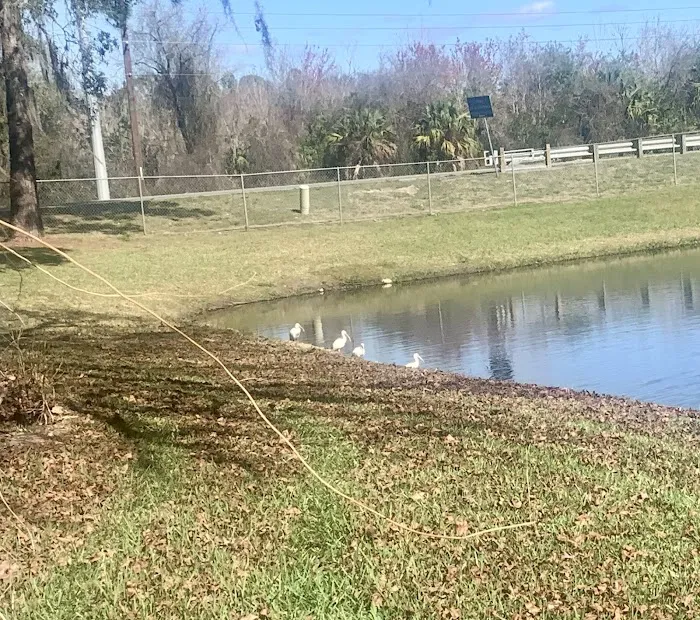Mid Florida Lakes 10