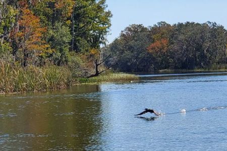 Haines Creek RV Village (55+)
