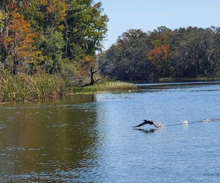 Haines Creek RV Village (55+)