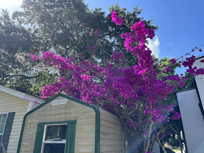 Haines Creek RV Village (55+) 10