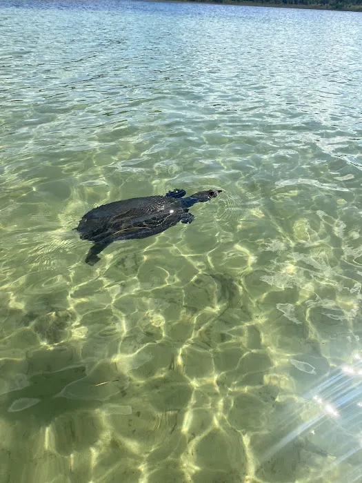 Clearwater Lake Recreation 10