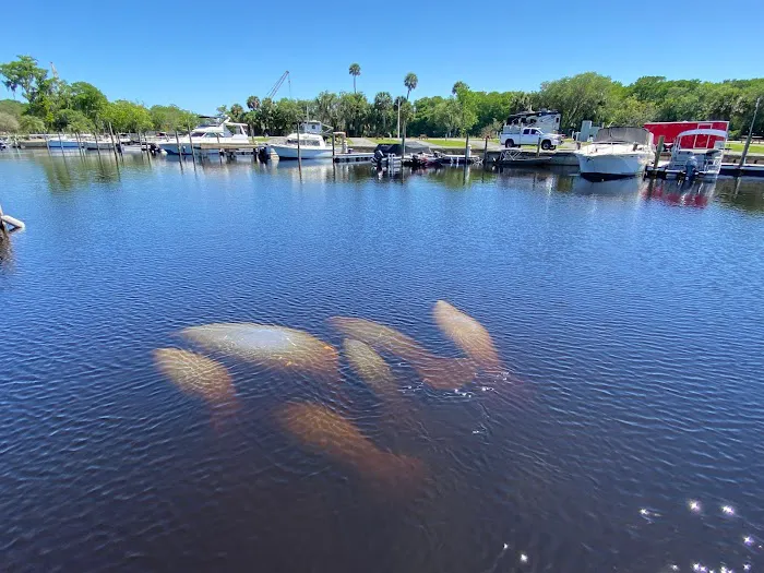 St. John's River Marina & RV Resort 2