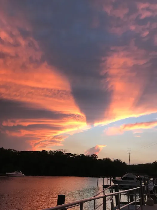 St. John's River Marina & RV Resort 8