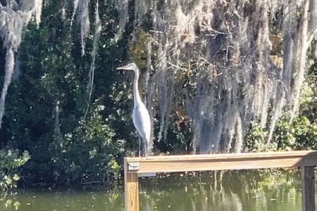 Footloose RV Resort - 55+ RV Park