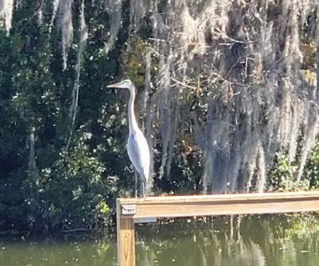 Footloose RV Resort - 55+ RV Park