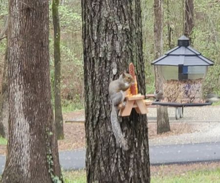 Campground #2, sites 28-40