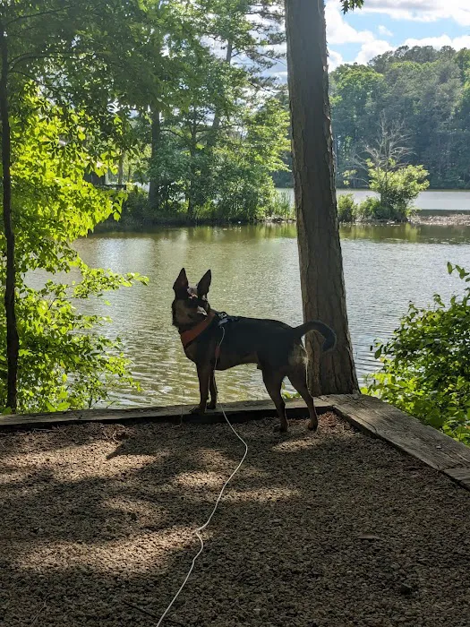 Fort Yargo State Park Campground 4
