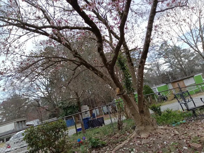 Pine Valley Mobile Home Park 2