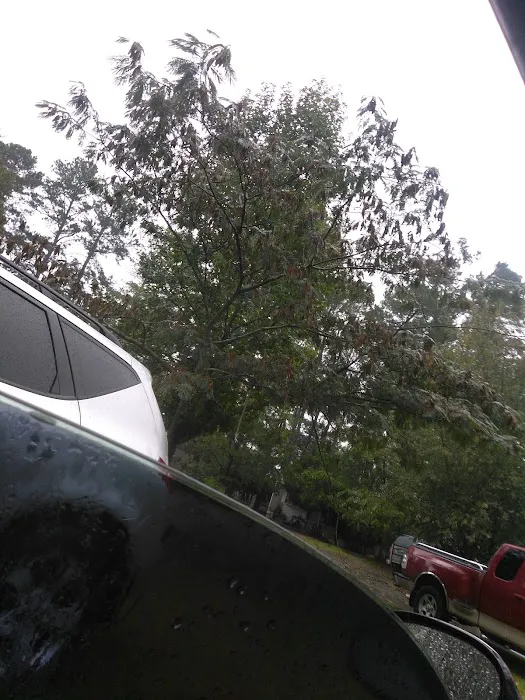Pine Valley Mobile Home Park 5