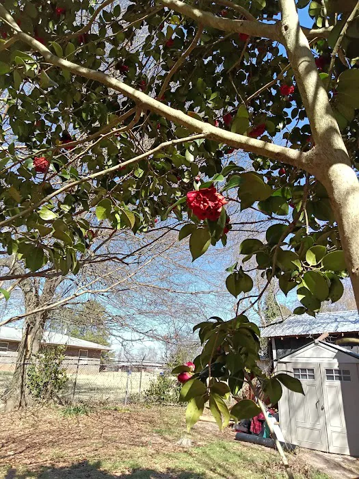 Pine Valley Mobile Home Park 7