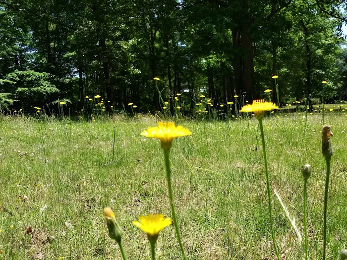 Atlanta West Campgrounds 4