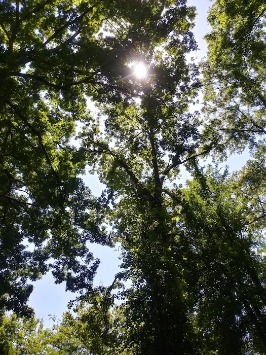 Atlanta West Campgrounds 10