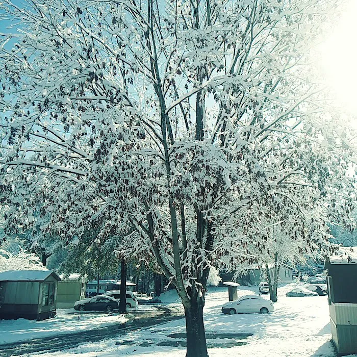Trailwood Mobile Home Park 4