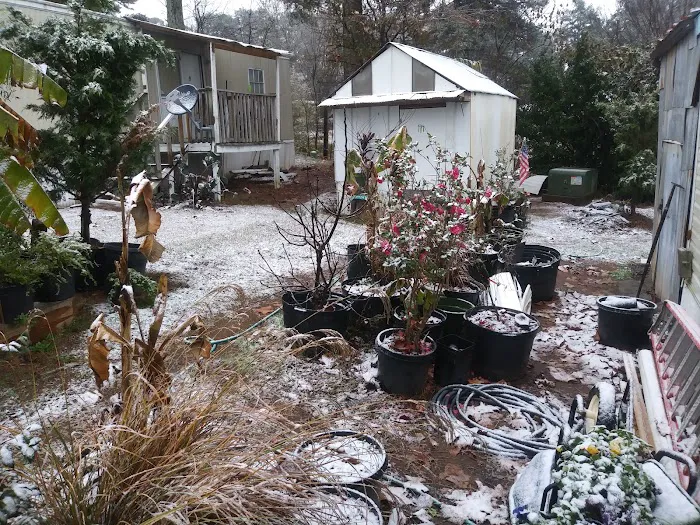 Winder Village 2