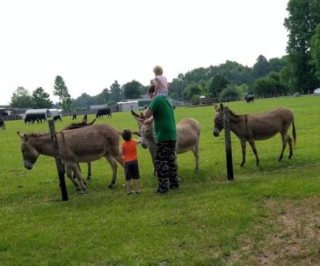Hester's Bottom's Campground