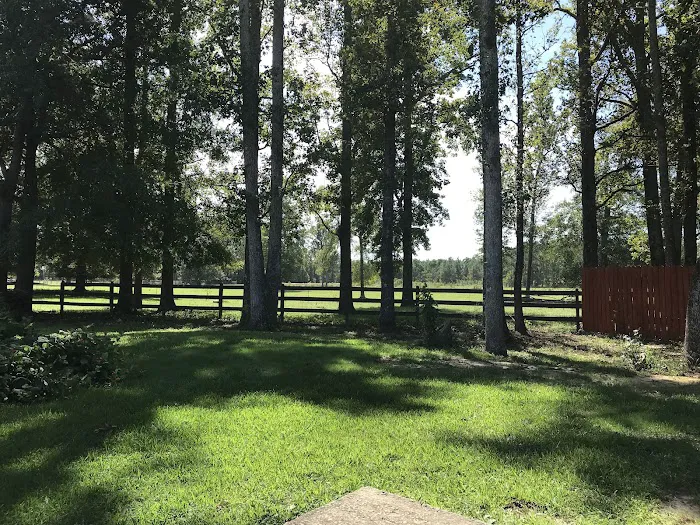 Hester's Bottom's Campground 5