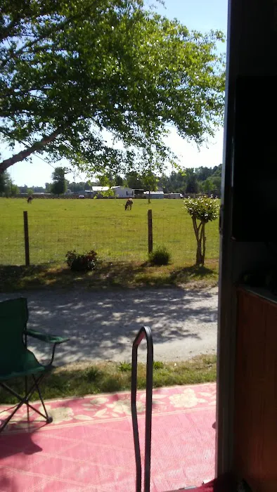 Hester's Bottom's Campground 8
