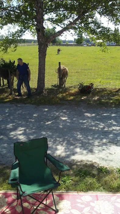 Hester's Bottom's Campground 9