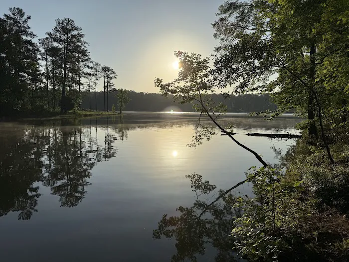 Hester's Bottom's Campground 10
