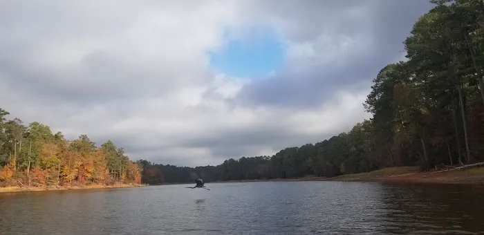 Hester's Bottoms Family Campground 4
