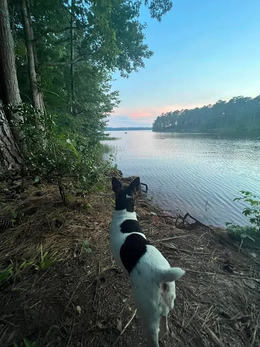 Hester's Bottoms Family Campground 9