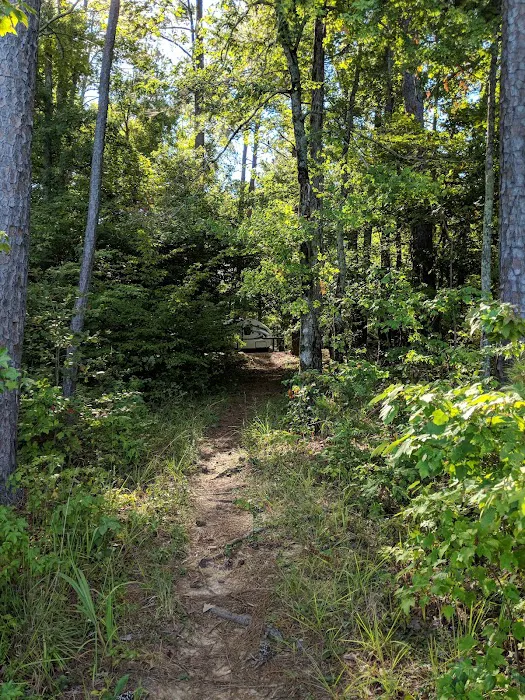 Hawe Creek 10
