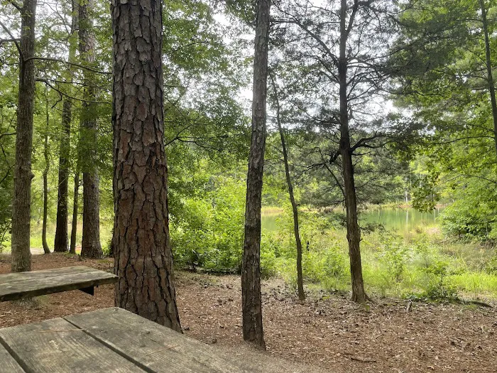 Calhoun Falls Campground 2