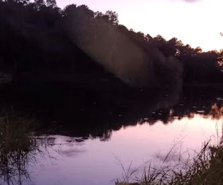 Calhoun Falls Campground