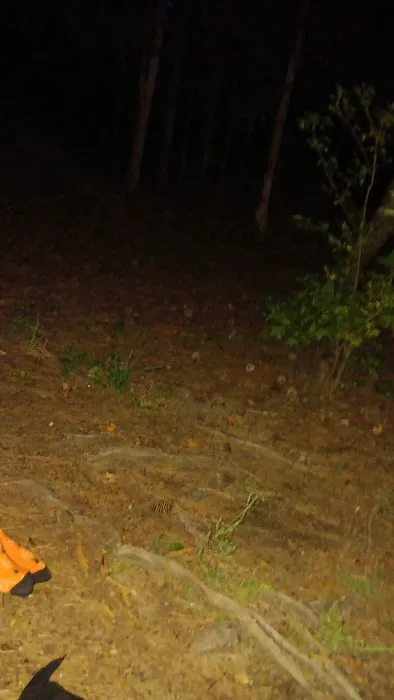 Calhoun Falls Campground 9