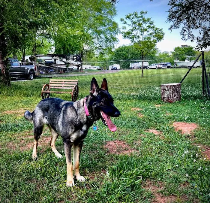 Plum Branch RV Park (Formerly Lake Thurmond RV Park) 7