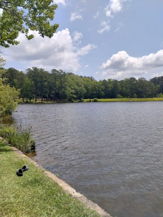 Parsons Mountain Lake Campground 2