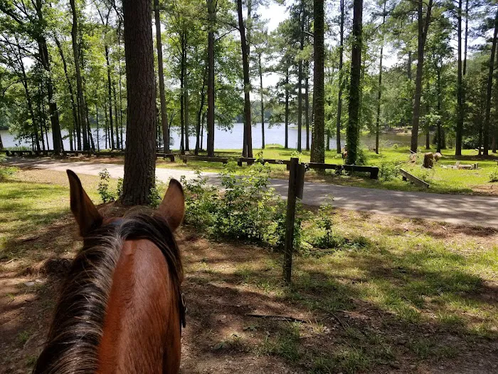 Parsons Mountain Lake Campground 3