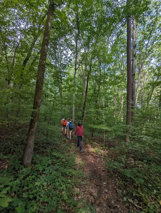 Parsons Mountain Lake Campground 4
