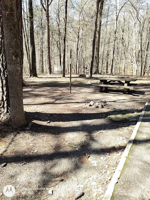 Parsons Mountain Lake Campground 6