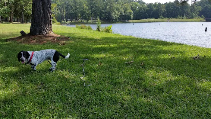 Parsons Mountain Lake Campground 10