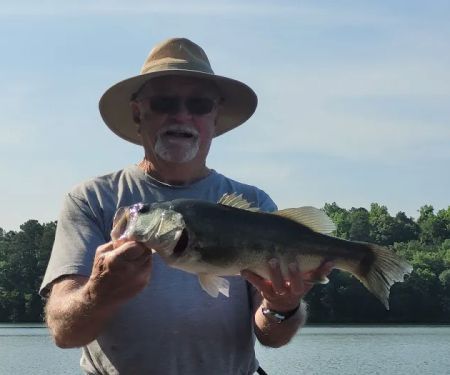 Pine-Der-Rosa Cabins & RV Rental