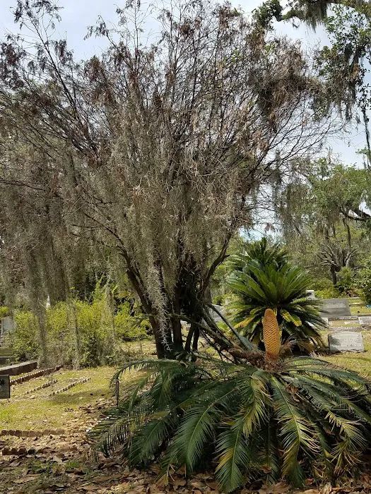 Len Thomas RV Park and Campgrounds 9