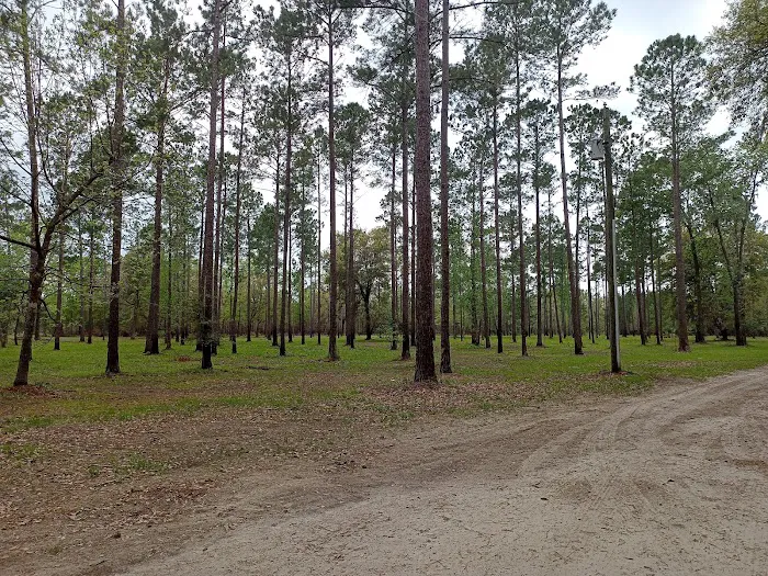 Kenny's Campsites 2