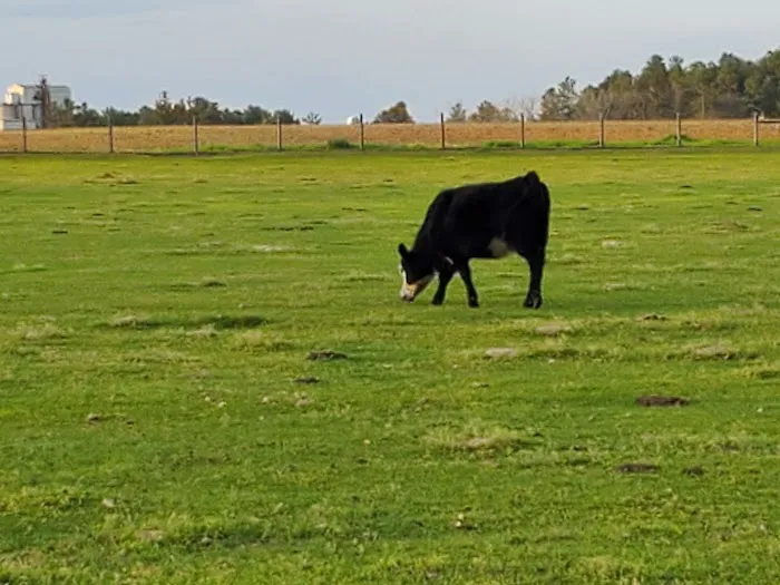 Country Living RV 4