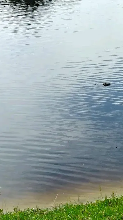 Holbrook Pond 5